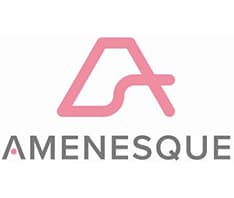 アメネスク株式会社 ロゴ