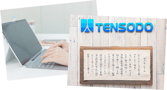 数字で見る天創堂イメージ