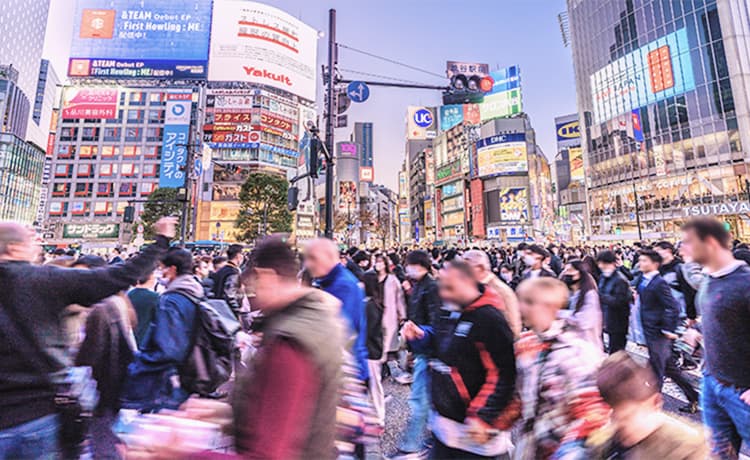 ご当地商品 国内販売事業