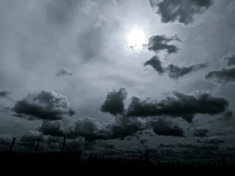 「唯一生き残ることが出来るのは・・・」〜2019年の締め括り〜