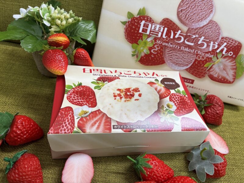 商品企画チームの仕事│初めてのオリジナル商品がついに完成!